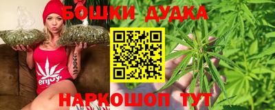 молекула духа Лесосибирск