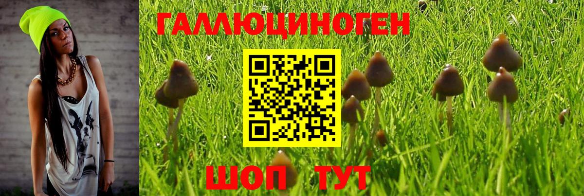 Галлюциногенные грибы Psilocybine cubensis  купить наркоту  Вход с VPN  Озёрск  Галлюциногенные грибы Psilocybine cubensis 